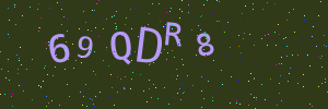 Validation image