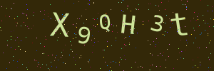 Validation image