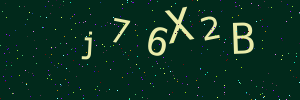 Validation image