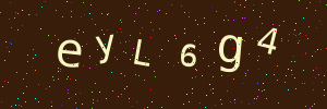 Validation image