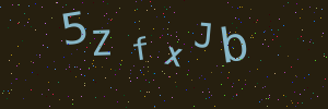 Validation image