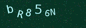 Validation image