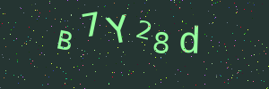 Validation image