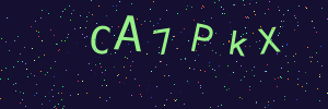 Validation image