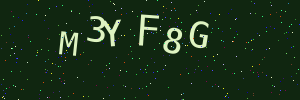 Validation image