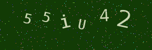 Validation image