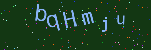 Validation image