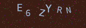 Validation image