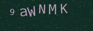 Validation image