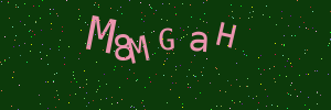 Validation image