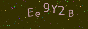 Validation image