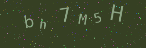 Validation image
