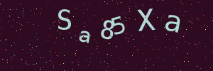 Validation image