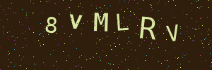 Validation image