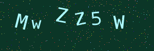 Validation image