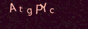 Validation image