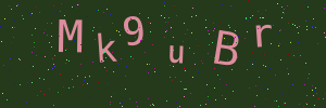 Validation image