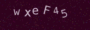 Validation image