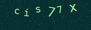 Validation image