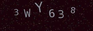 Validation image