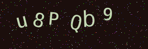 Validation image