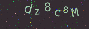Validation image
