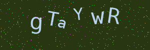 Validation image