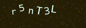 Validation image