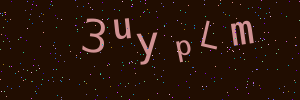 Validation image