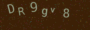 Validation image