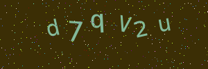 Validation image