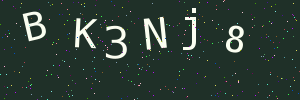 Validation image