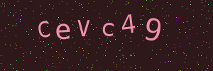 Validation image