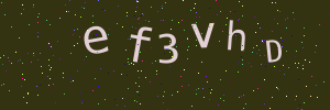 Validation image
