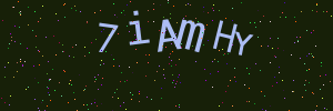 Validation image