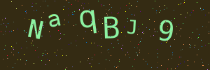 Validation image