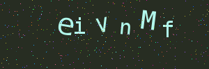 Validation image
