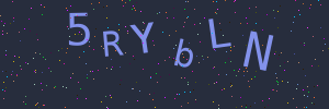 Validation image