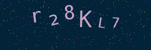 Validation image