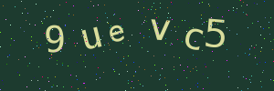 Validation image