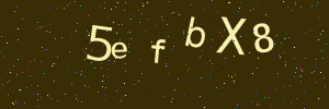 Validation image