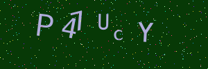 Validation image