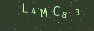 Validation image