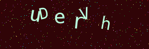 Validation image