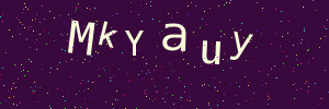 Validation image