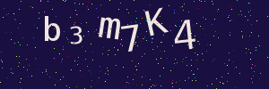 Validation image