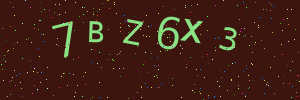 Validation image