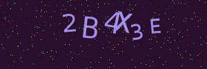 Validation image