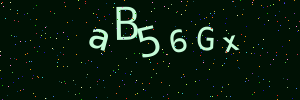 Validation image