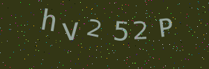 Validation image
